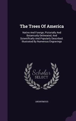 Read Online The Trees of America: Native and Foreign, Pictorially and Botanically Delineated, and Scientifically and Popularly Described. Illustrated by Numerous Engravings - Anonymous file in PDF