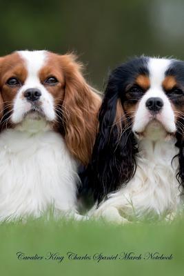 Read Cavalier King Charles Spaniel March Notebook Cavalier King Charles Spaniel Record, Log, Diary, Special Memories, To Do List, Academic Notepad, Scrapbook & More - Spaniel World file in ePub