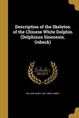 Download Description of the Skeleton of the Chinese White Dolphin (Delphinus Sinenesis, Osbeck) - William Henry 1831-1899 Flower | PDF
