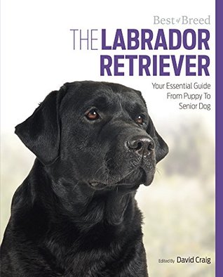 Read The Labrador: Your Essential Guide From Puppy To Senior Dog (Best of Breed) - David Craig | ePub