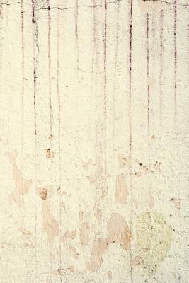 Read Stray Fingerprint Journal: 365 Page Journal Notebook Diary -  | PDF