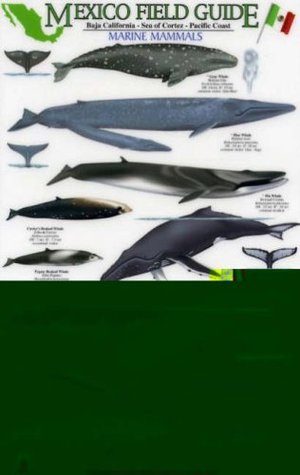 Download Marine Mammals: Baja California - Sea of Cortez - Pacific Coast (Mexico Field Guides) - Uko Gorter | ePub