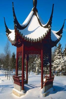 Full Download Journal Snow Covered Pagoda: (Notebook, Diary, Blank Book) -  | PDF