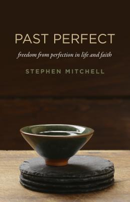 Read Online Past Perfect: Freedom from Perfection in Life and Faith - Stephen Mitchell | ePub