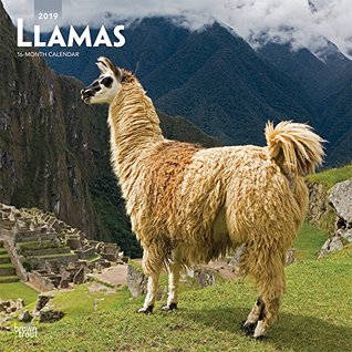 Full Download Llamas 2019 12 x 12 Inch Monthly Square Wall Calendar, Domestic Animals (Multilingual Edition) -  file in PDF