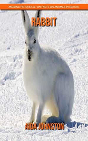 Read Rabbit: Amazing Pictures & Fun Facts on Animals in Nature - Aida Johnston file in ePub